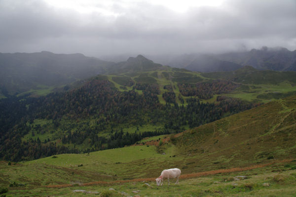 La station du Hautacam depuis le Haut de Courbes