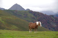 Depuis le Soum de Tramassel, au fond, le Pic de Viscos, a droite, le Bois de Mailh Blanc