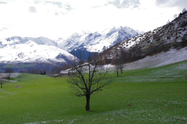 Le Pla de Nabias, derrire, le massis du Pic de Hourgade