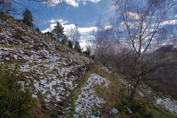 Le sentier sous les crtes de Penaube