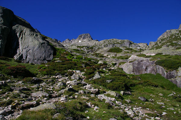 La monte finale au refuge du Larribet au milieu des Rhododendrons en fleur