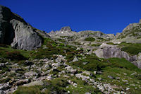 La monte finale au refuge du Larribet au milieu des Rhododendrons en fleur