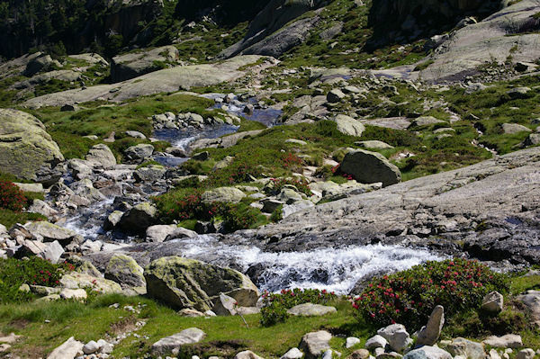 Le ruisseau descendant du Glacier du Pabat