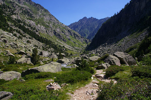 Le vallon du Larribet