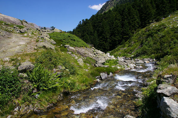 Le Gave d'Arrens au dversoir du lac de Suyen