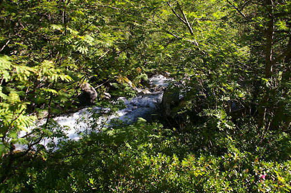 Le Larribet sous la Claou