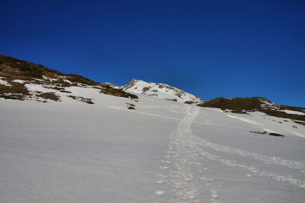 En remontant le vallon de Peyrenre