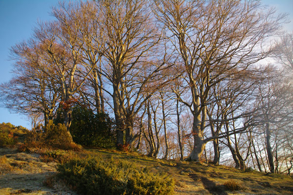 Arrive au dessus du Bois de Laurouse