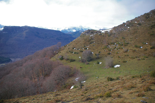 Le sentier menant au Bois de Laurouse