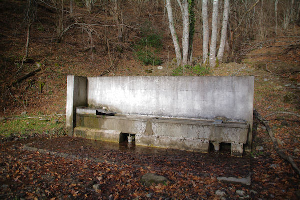 Une fontaine dans le Bois des Pouzades