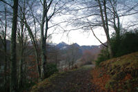 Le chemin dans le Bois des Pouzades