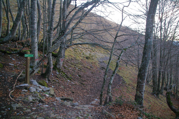 L_embranchement pour partir vers le Col d_Andorre