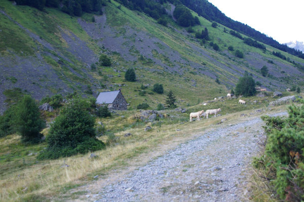 La cabane de l Oelhestre