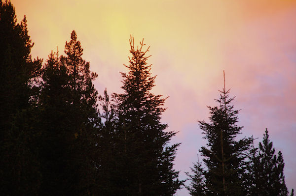 Couleurs matinales