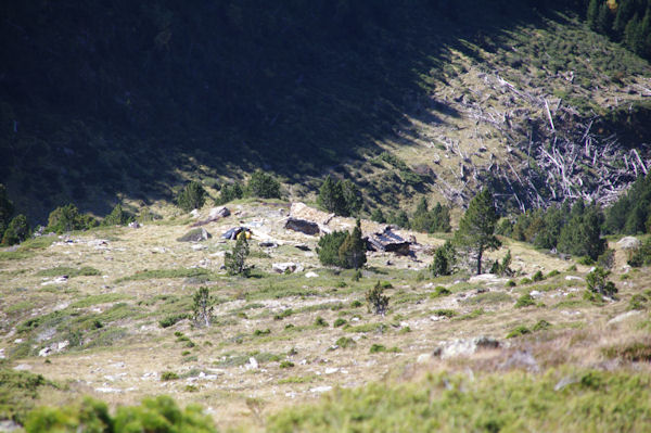 La cabane de Lustou en cours de rnovation