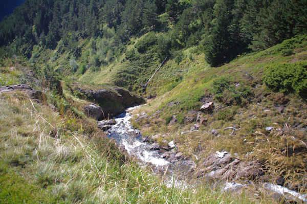 Le ruisseau de la Piarre