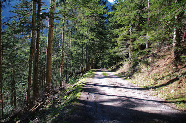 Le chemin au dessus du ruisseau de Pgure