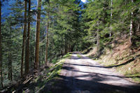 Le chemin au dessus du ruisseau de Peguere