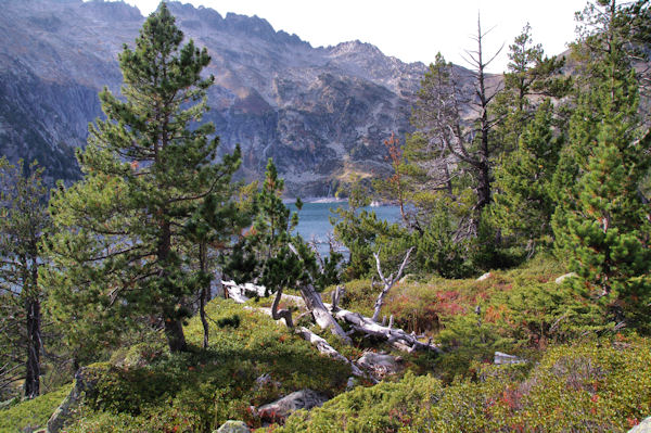 Le Lac d_Aubert