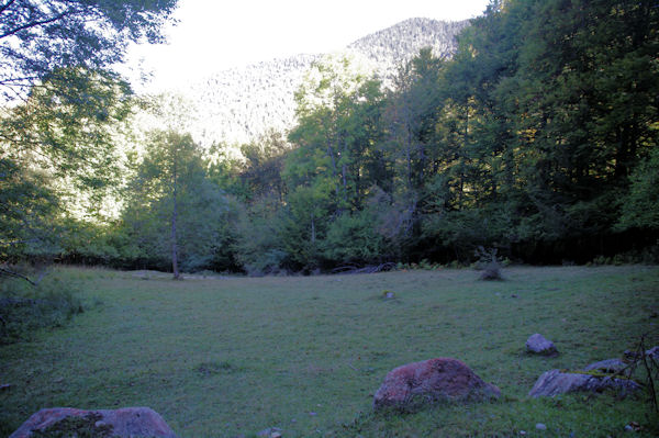 Au loin, dans la lumire, le vallon du ruisseau de l_Artigue depuis le chemin de Sarradaus