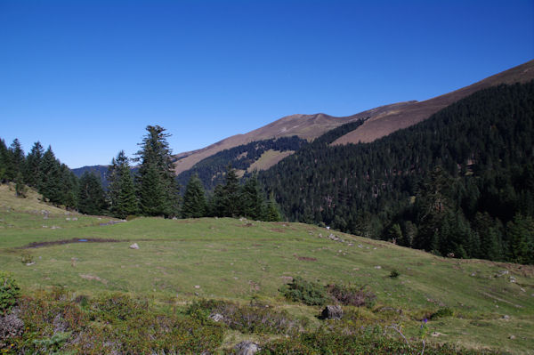 Vers la Cabane d_Artigue Longue, au fond, le Sommet du Peber, le Sommet de Templa ou de Cornudre et la Crte de Berne