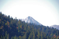 Le Pic du Midi de Bigorre apparat au dessus du Bois de Bassiousses