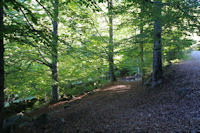 Le chemin descendant au Pont d'Amont