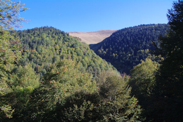 Le Sommet du Peber au dessus de la Sapinire de Laprde