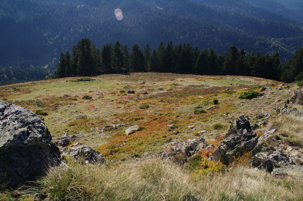 La Sapinire de Berne depuis le Mont Arrouy