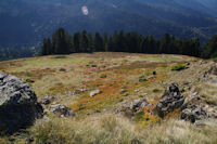 La Sapiniere de Berne depuis le Mont Arrouy