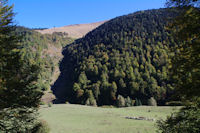 La Crte de la Pale au dessus de la Sapignre de Berne