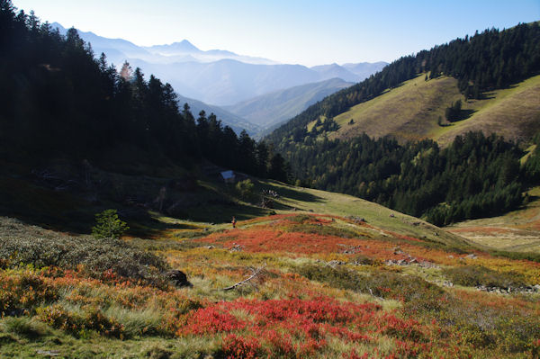 Couleur d_automne sous le Mont N, au dessus de la valle de Bareilles