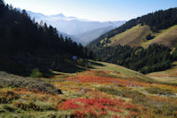 Couleur d'automne sous le Mont Ne, au dessus de la vallee de Bareilles