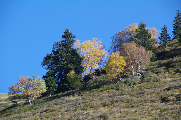 Le flanc Nord Ouest du Mont N