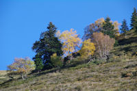 Le flanc Nord Ouest du Mont Ne