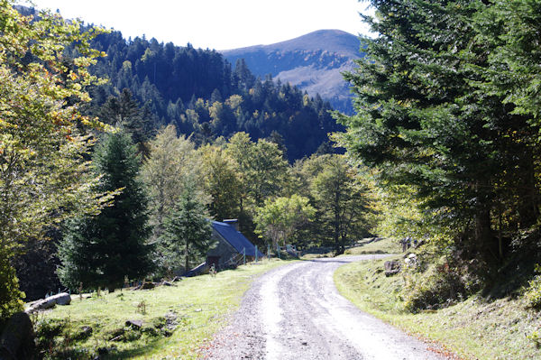 Le Chemin de Sarradaus, au loin la Hourgue de la Fousserette