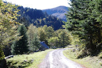 Le Chemin de Sarradaus, au loin la Hourgue de la Fousserette