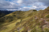 Le vallon du ruisseau de Cantaloup