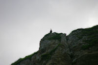 Un vautour fauve au dessus du ruisseau d'Ourey