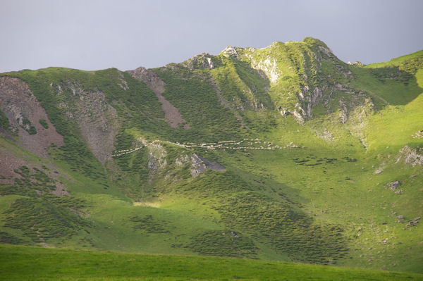 Un chapelet de moutons sous le Pic de Ralhoun