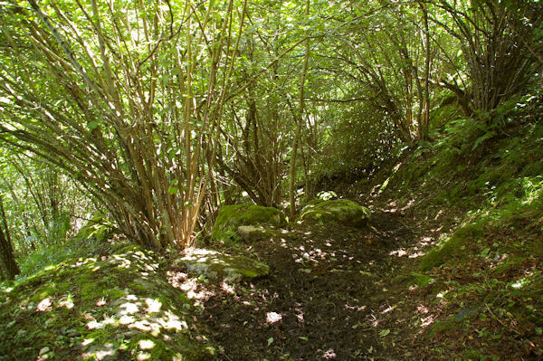 Le chemin au dessus du Pont d_Ourey