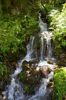 Jolie cascade du ruisseau des Plaas