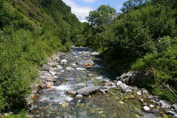 Le Gave d_Arrens depuis le Pont d_Ourey