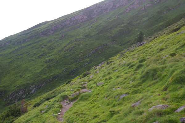 Le chemin transversal passant le vallon du ruisseau d_Ourey