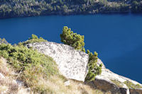 Contrastes de couleurs en remontant la Montagne des Laquettes vers les cretes de Barris d'Aubert