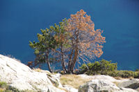 Contrastes de couleurs en remontant la Montagne des Laquettes vers les cretes de Barris d'Aubert