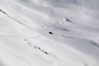 La cabane de Layous