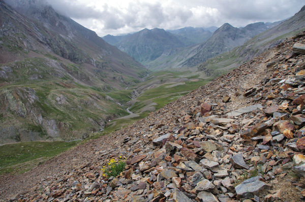 La valle du Rio Ara