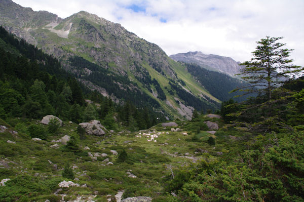 Sous le Bois des Masseys