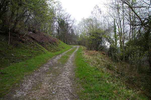 Le large chemin pour monter au Col de Liar au dessus d'Arcizans Dessus